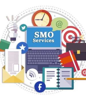 Social Media Optimization Services in Dehi